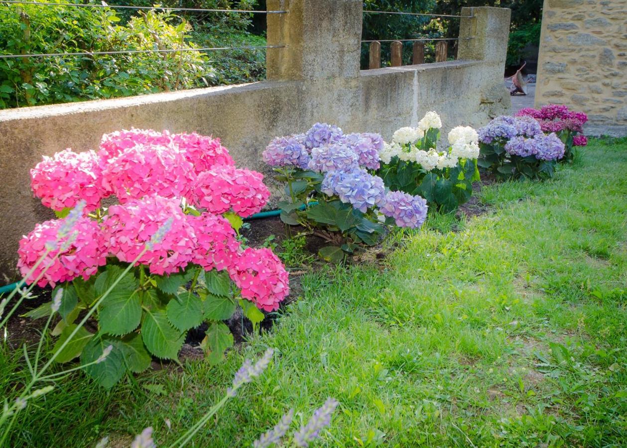 La Jourdane Bed and Breakfast Saint-Alexandre Kamer foto